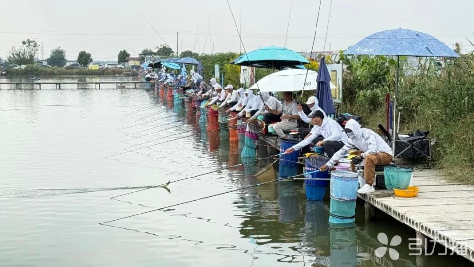 态斩获冠军, 经验丰富的 态斩获冠军, 经验丰富的